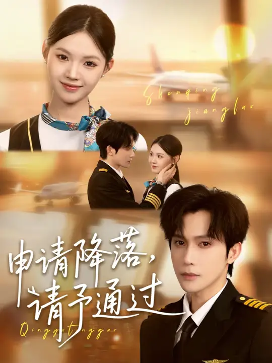申請(qǐng)降落請(qǐng)予通過