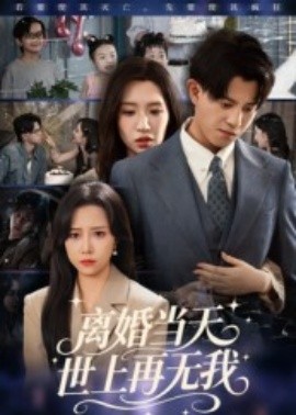 離婚當天世上再無我